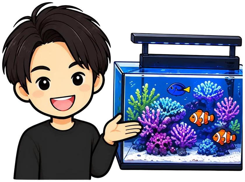 海水水槽を紹介する管理人のイラスト