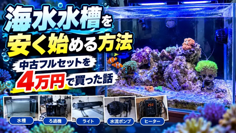 海水水槽を安く始める方法｜中古フルセットを4万円で買った話のアイキャッチ