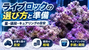 ライブロックの選び方と準備。量・値段・キュアリングの目安