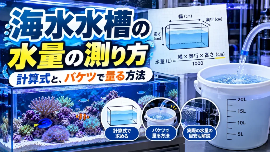 海水水槽の水量の測り方｜計算式と、バケツで量る方法のアイキャッチ