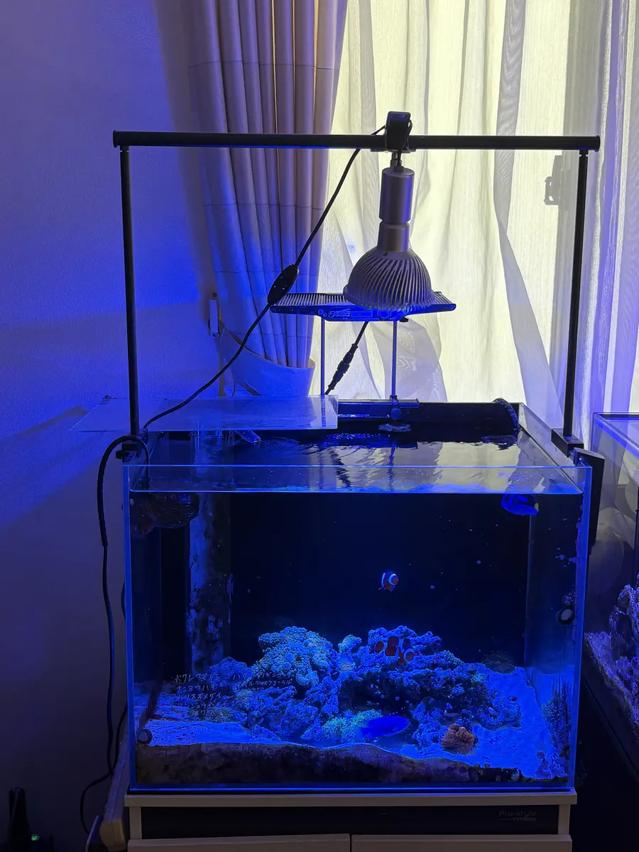 いまの60cmの海水水槽の全体。水槽の上に照明がついていて、下に水槽台がある
